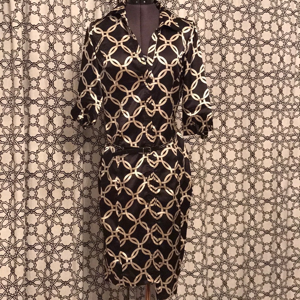 Zara belted button down dress